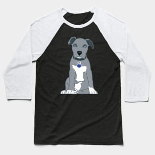Pitbull Grey Staffordshire Terrier Baseball T-Shirt